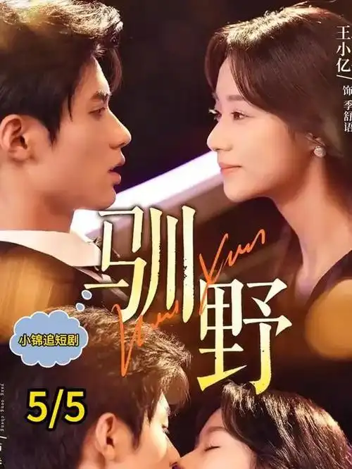 档案室第九格 刑侦单元剧在线观看