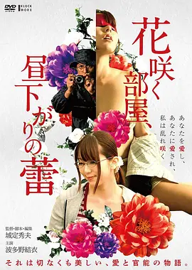 雾港谜案 热播电视剧全集手机免费在线观看